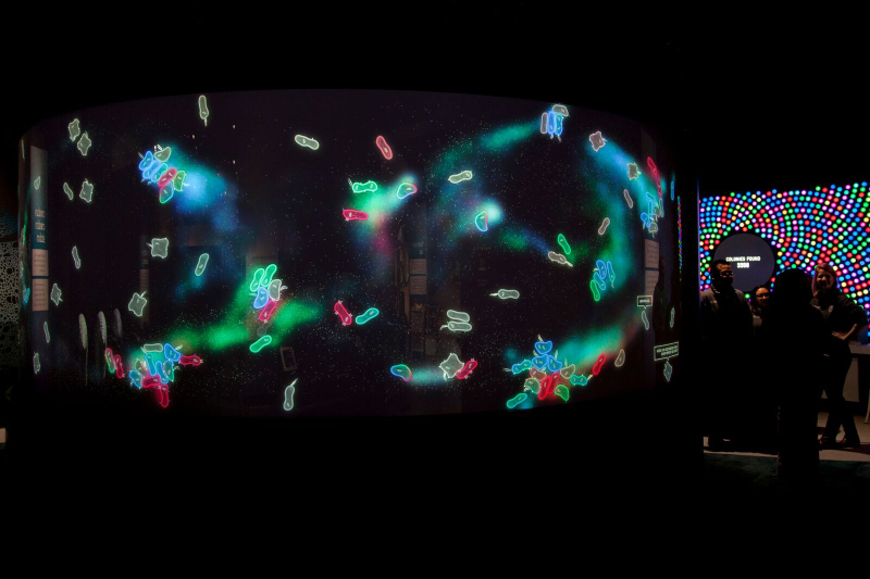 Large projections show organisms created by visitors interacting in a “bio pool,” which illustrate DNA concepts. Image: Na’im Beyah